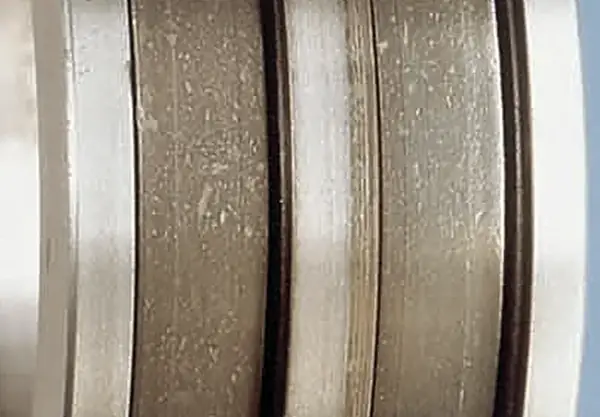 Indentations on a raceway from foreign matter or flakes from another bearing.